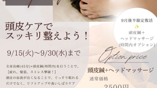 ✨9月後半限定復活✨時間内オプション頭皮鍼+ヘッドマッサージ